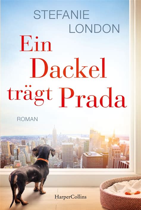 prada dackel|'Ein Dackel trägt Prada' von 'Stefanie London' .